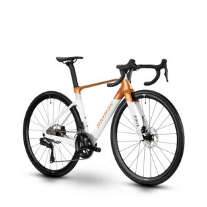 bicicleta-raymon-arva-comp